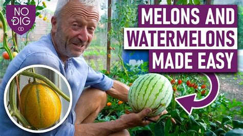 melons videos